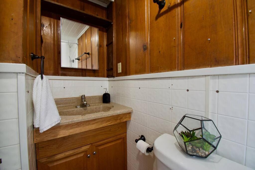 Cajun Stays - Studio Garfield - Pet Friendly Lafayette Buitenkant foto